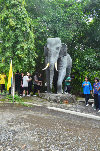 2-DSC_0004 (138)